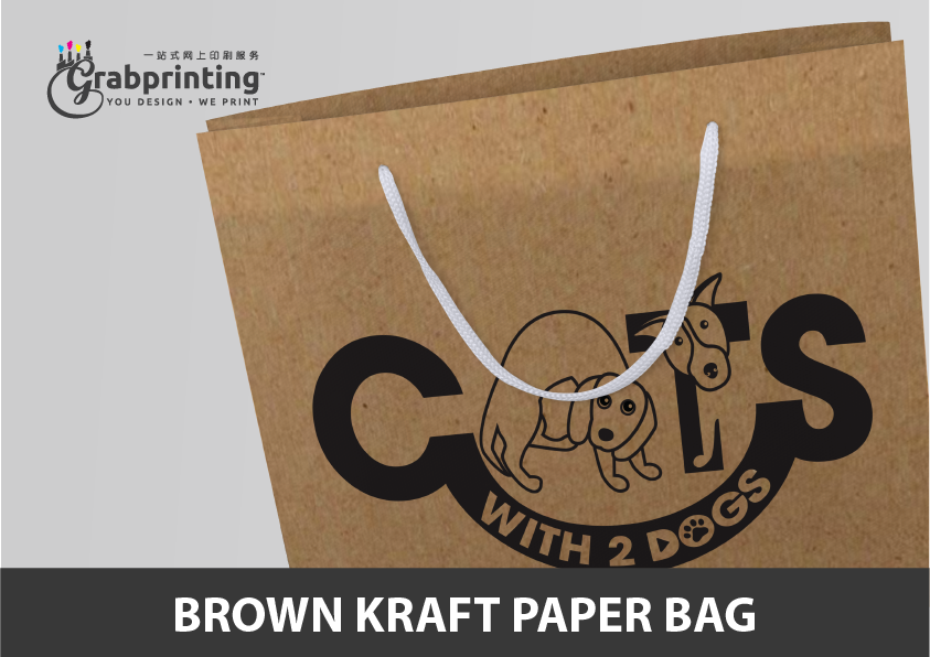 Kraft Paper Bag Printing Brown Kraft Paper Bag Printing Model 4
